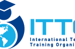 Online Tefl training course – Teach English overseas: